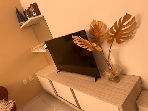a tv on a stand with a vase with a plant at Aconhego Dourado I Alugue casa com piscina a 17min da praia in Parnaíba