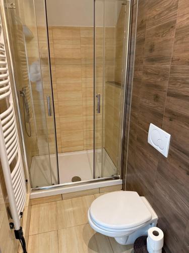 Koupelna v ubytování ICE KING Apartament