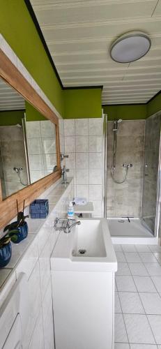 Bilik mandi di Ferienwohnung Waldenburg Sachsen
