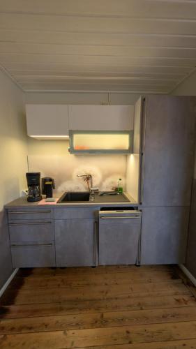 Dapur atau dapur kecil di Ferienwohnung Waldenburg Sachsen