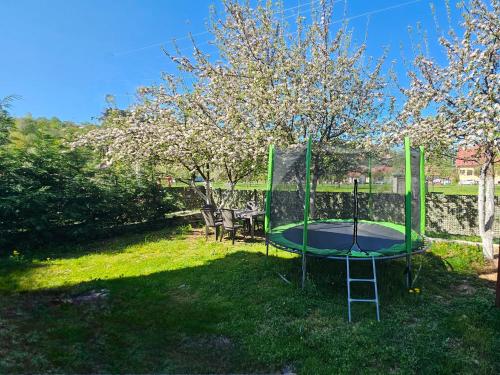 a trampoline in the grass in a yard at Vila Helena in Kolašin