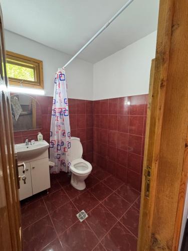 a bathroom with a toilet and a shower curtain at Cabana Livada Merilor in Băile Govora