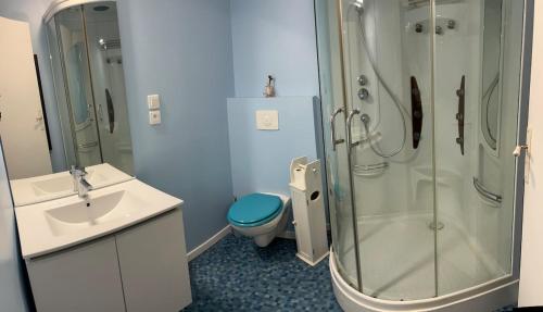 une salle de bain avec une douche, des toilettes et un lavabo dans l'établissement Joli Appartement T2, à Saint-Jean-Pied-de-Port