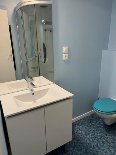 une salle de bain avec un lavabo blanc et des toilettes dans l'établissement Joli Appartement T2, à Saint-Jean-Pied-de-Port