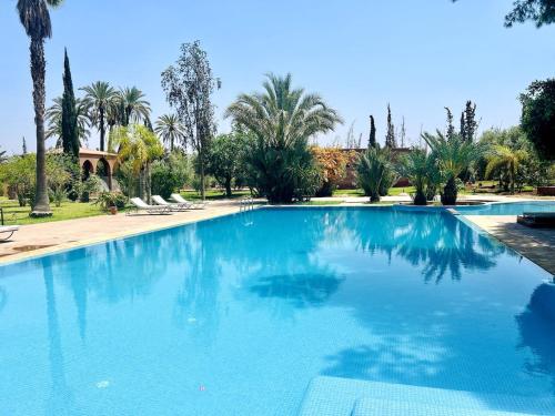 a large blue swimming pool with palm trees in the background at Villa Dar Ambre in Marrakech