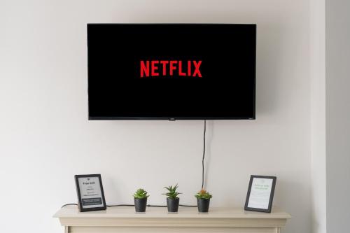 a television on top of a table with plants at Boutique 2-Bed Apartment in Wolverhampton Centre in Wolverhampton
