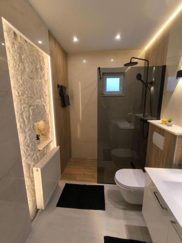 a bathroom with a toilet and a glass shower at Villa Milena with heated pool and jacuzzi in Kostanje