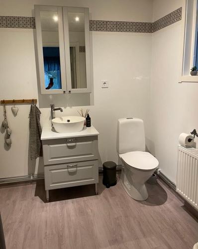 a bathroom with a white toilet and a sink at Villa in J O K K M O K K in Jokkmokk
