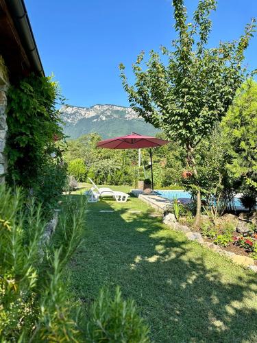a garden with a table and an umbrella and a pool at Guest House Queen in Konjic