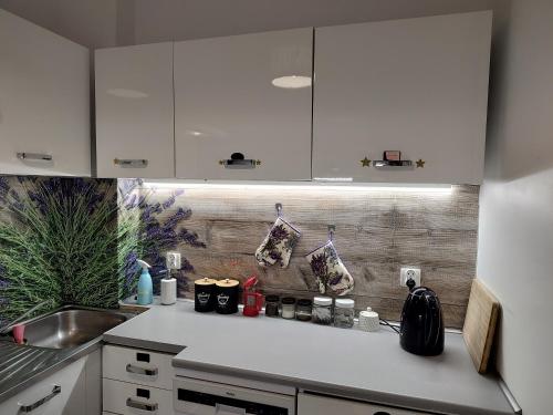 Kuchyň nebo kuchyňský kout v ubytování Magnolia Rooms Plus
