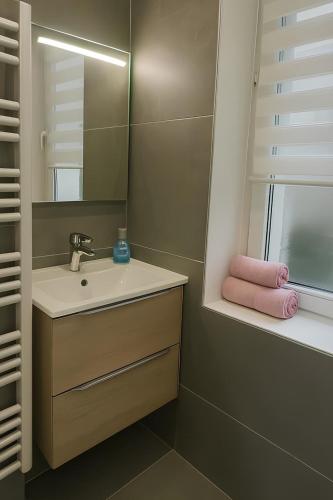 une salle de bain avec un lavabo et un miroir dans l'établissement Escale Élégante Nancy, à Nancy