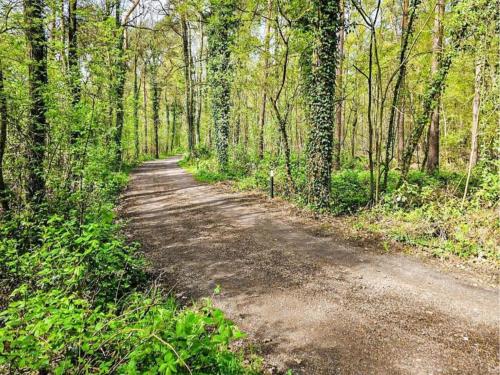 a dirt road in the middle of a forest at Farmhouse in Geesteren near Forests in Geesteren