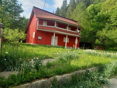 Κήπος έξω από το Red Chalet