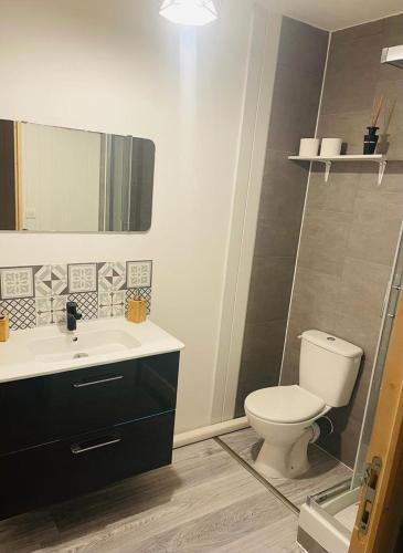 une salle de bain avec toilettes et lavabo dans l'établissement Fully-equipped 2-bedroom apartment, à Nice