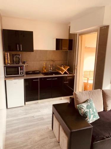 un salon avec un canapé et une cuisine dans l'établissement Fully-equipped 2-bedroom apartment, à Nice