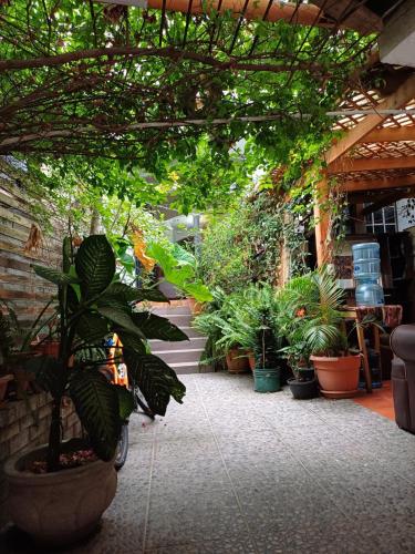 Κήπος έξω από το Hotel Posada Belén