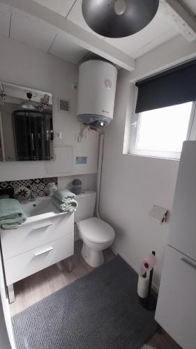 une salle de bain blanche avec des toilettes et un lavabo dans l'établissement Maisonnette cocoon proche de l'aéroport d'Orly, à Paray-Vieille-Poste