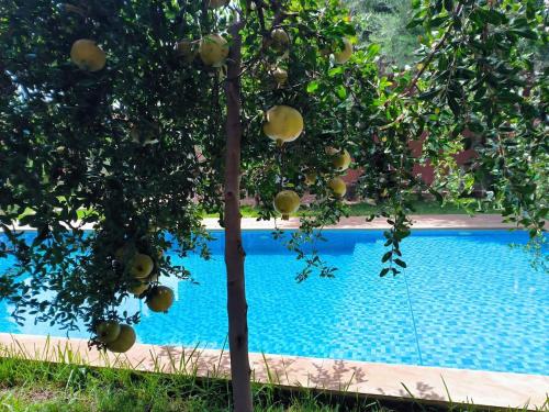 La alberca dentro o cerca de Charming Villa with Pool
