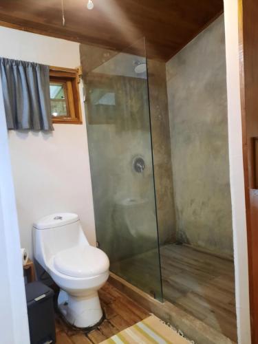 サンタ・テレサにあるCasa SILURI UPのトイレとシャワー付きのバスルーム