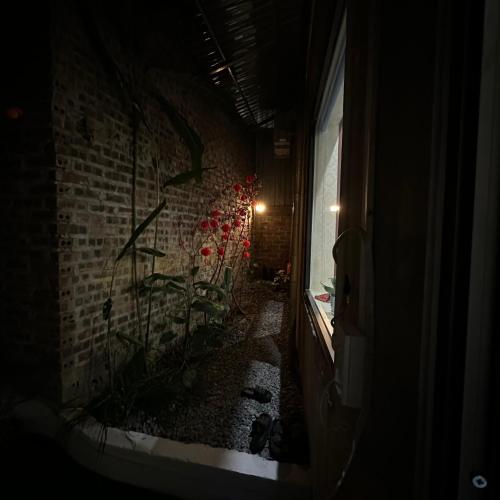 a dark room with a brick wall and a plant at cat homestay in Hoàng Ngà