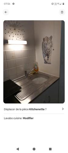 une capture d'écran d'une cuisine avec une photo d'un tigre sur le mur dans l'établissement charmante résidence Studio T1 entier tout confort, à Souppes-sur-Loing