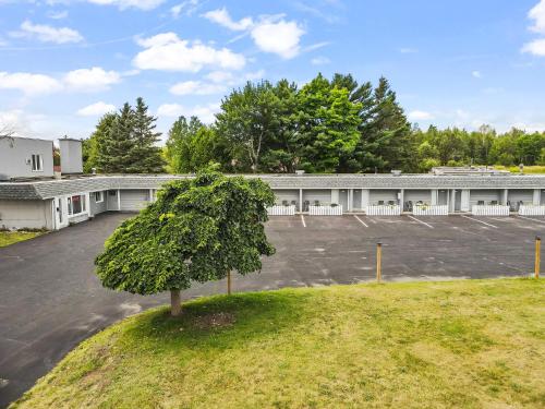a tree in the middle of a parking lot at Ambassador Motel in Sault Ste. Marie