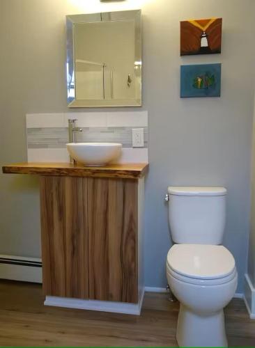 a bathroom with a sink and a toilet at The Maisonette by Corbitt Hospitality in Annapolis Royal