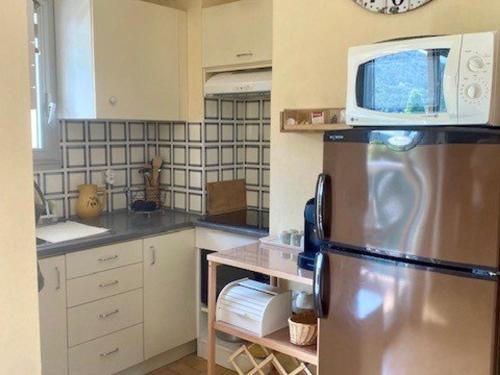 une cuisine avec un réfrigérateur en acier inoxydable et un micro-ondes dans l'établissement Joli F2 avec balcon, parking et proche Thermes - FR-1-703-213, à Amélie-les-Bains-Palalda