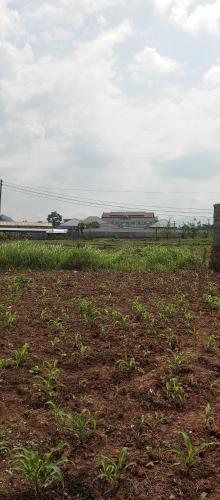 Landskap semula jadi dekat dengan rumah percutian