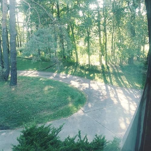 an overhead view of a garden with trees and a sidewalk at HOUSE Of THE FUTURE IN THE WOODS OF WEST LANSING in Lansing