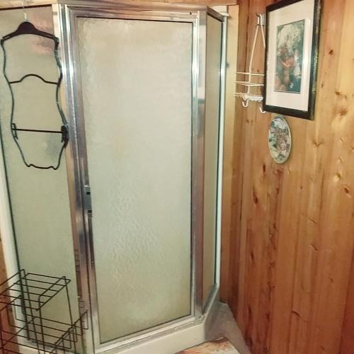 a shower with a glass door in a bathroom at HOUSE Of THE FUTURE IN THE WOODS OF WEST LANSING in Lansing