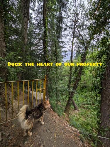 a dog standing next to a fence with the words dogs the heart of our money at The Heavens Place in Nagar