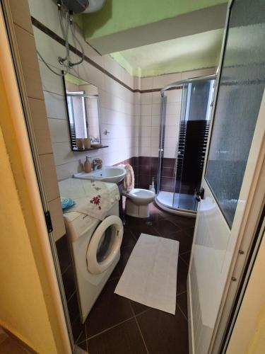 ドゥラスにあるLulzimのトイレと洗面台のある小さなバスルーム