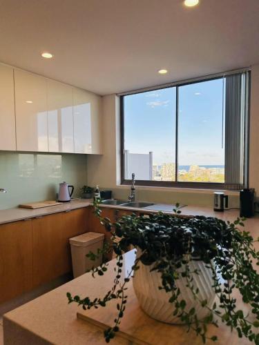 a kitchen with a plant in a large vase at CBD Penthouse Retreat - Stunning Ocean & City View in Wollongong