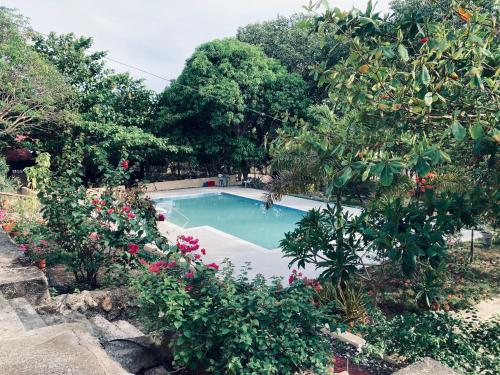 uma piscina num jardim com flores e árvores em The poolhouse at McKirdy's mango farm em Sison