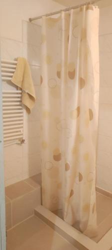 a shower with a shower curtain in a bathroom at Pace in Kuvaszó-Casă la cheie in Filia