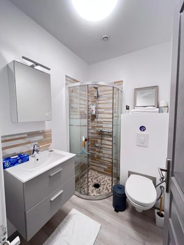 une salle de bain avec une douche, des toilettes et un lavabo dans l'établissement Nice Premium Rooms - Coliving Libération avec Terrasse & Salle de Bain Privée, à Nice