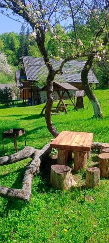 a picnic table and a tree in a park at Під горою in Sheshory