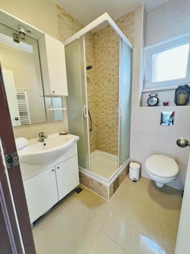 a bathroom with a shower and a sink and a toilet at Adria Apartment Makarska in Veliko Brdo