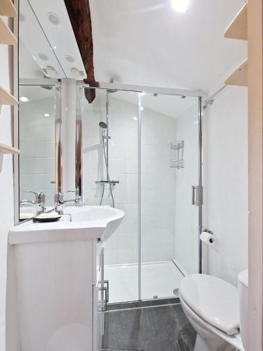 une salle de bain avec une douche, un lavabo et des toilettes dans l'établissement En plein cœur du village , Terrasse avec vue, à Cotignac