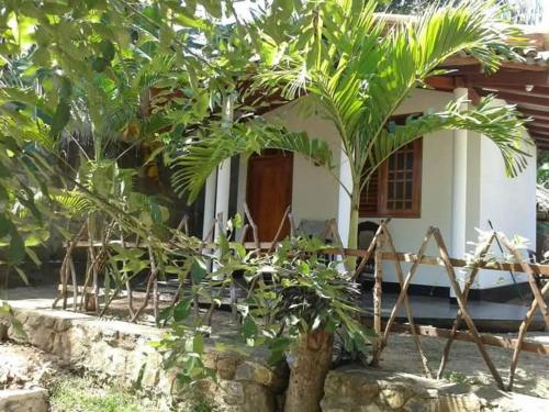 Κήπος έξω από το Goyambokka Peacock Guest