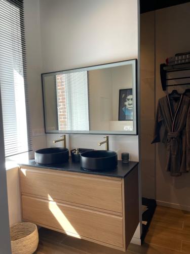 une salle de bain avec deux lavabos et un grand miroir dans l'établissement La Chenaie - Les Accacias, à Gien