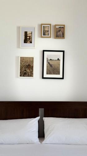 Syra Retreat