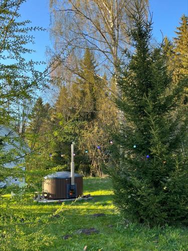 Gallery image of Сottage under the trees in Rajaküla