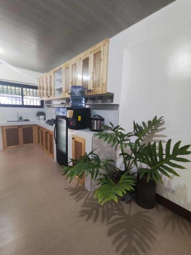 a kitchen with a stove and a potted plant at KBC ZAI Baguio Staycations 3 & 4 in Baguio
