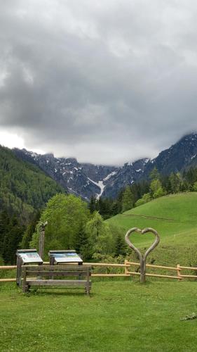 two benches in a field with a view of a mountain at Tourist farm Gradišnik in Solčava
