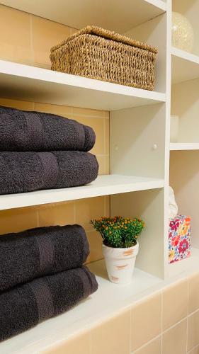 une étagère avec des serviettes et une plante en pot dans l'établissement Le cocon familial, à Digne-Les-Bains