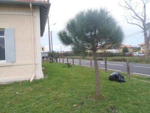 Foto de la galeria de La landaise a Biscarrosse