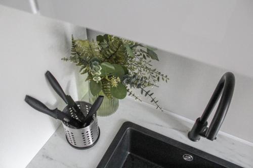 un fregadero con una maceta en un mostrador en Modern 1BR Flat - Great Location, en Riga