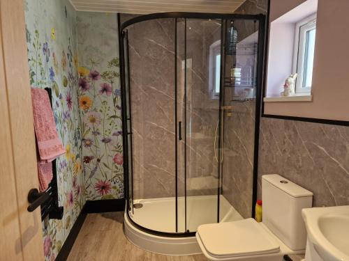 a bathroom with a shower and a toilet at The Burrow by Blake View Holidays a peaceful boutique retreat 3 miles from Ennerdale- standard twin or super-king bed available in Rowrah